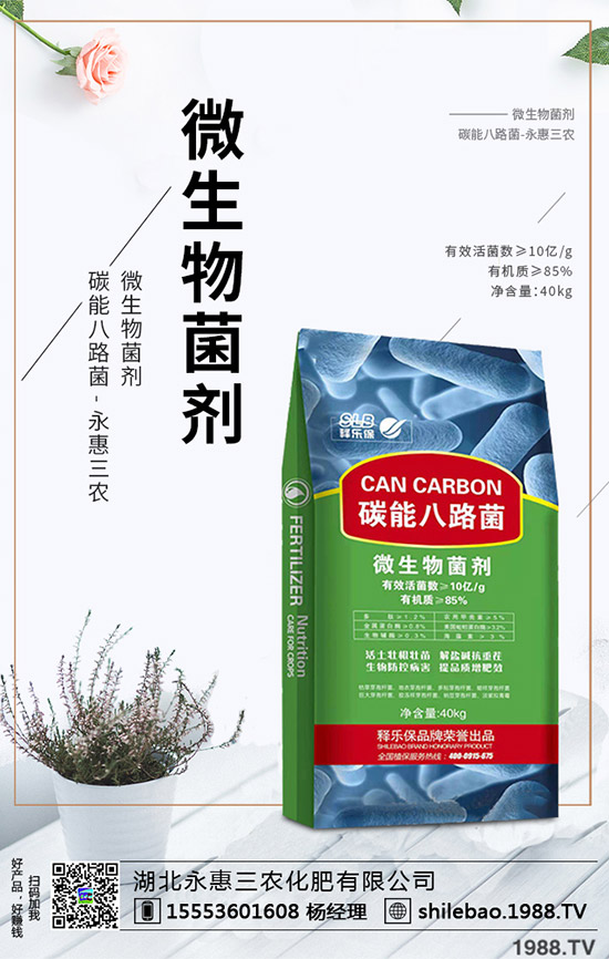     2019��9�µ�һ��������(n��i)��(f��)�Ϸʃr�������߄��܈�