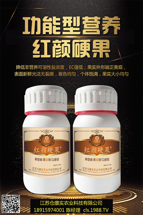 西蘭花什么時候種植？該怎么種？2019年西蘭花種植前景分析