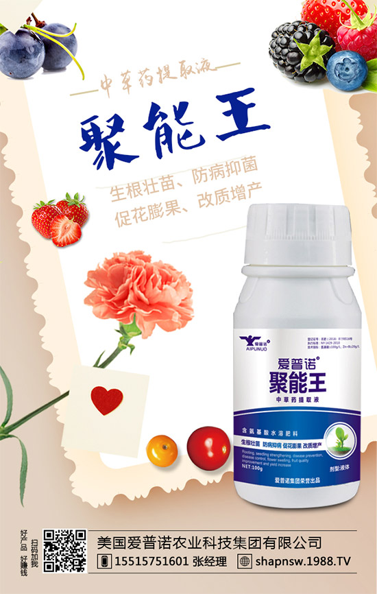 桑葚的功效與作用，孕婦吃桑葚有什么好處？