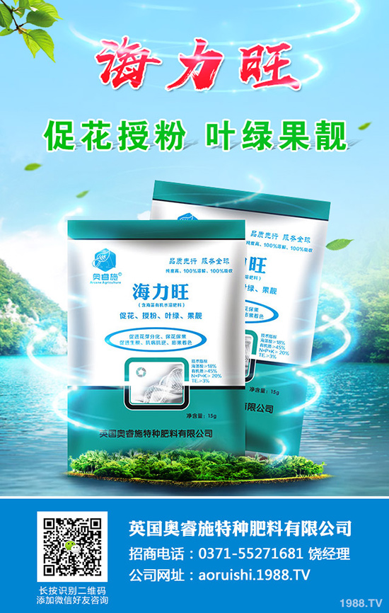 現(xiàn)在種植沙糖桔還賺錢嗎？沙糖桔種植技術(shù)大全