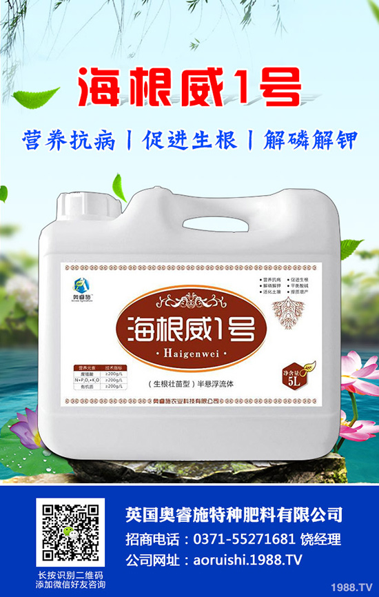 如何種植羊角蜜才能高產(chǎn)?羊角蜜種植時(shí)間和種植方法