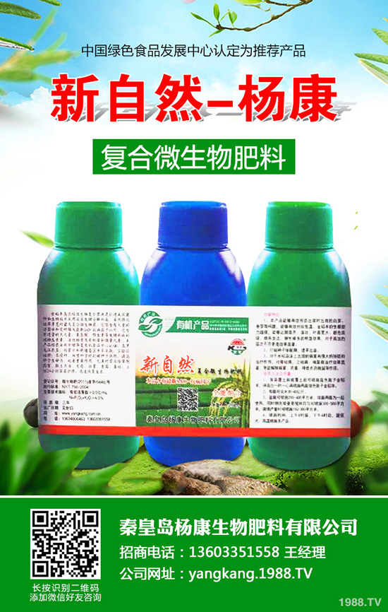 拐棗如何種植，拐棗種植技術(shù)及種植前景！