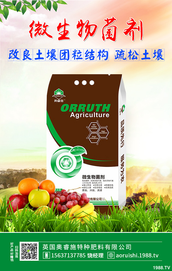 雪菜種植講究技巧，你會嗎？雪菜優(yōu)質(zhì)豐產(chǎn)種植技術(shù)