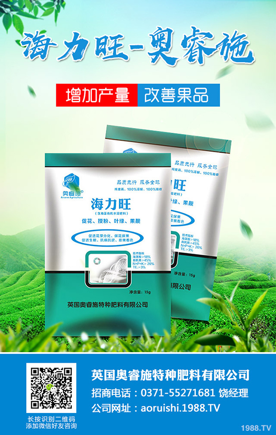 臍橙種植對(duì)環(huán)境有哪些要求？臍橙種植要點(diǎn)有哪些？