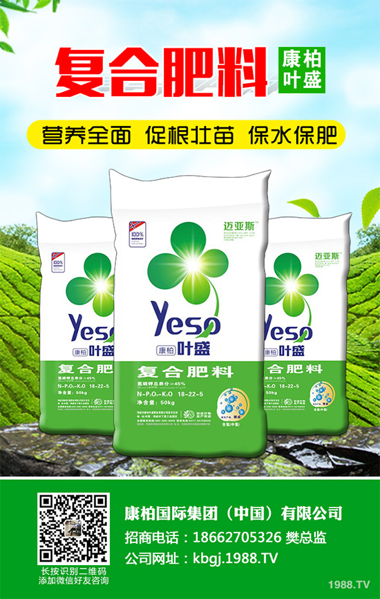 �۲˰߿ݲ�����ЩΣ���Y�����۲˰߿ݲ���Σ��������