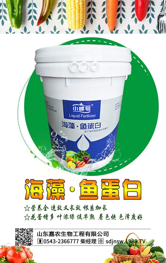 黃花菜什么季節(jié)種植好?2020年黃花菜種植前景及利潤分析!