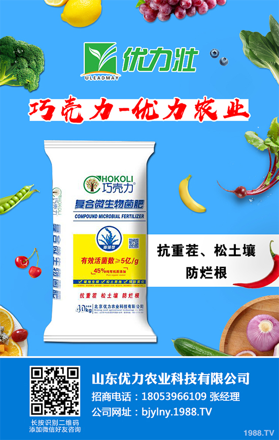 �۲�ܛ�������u������ԓ��η������۲�ܛ������Σ���c����