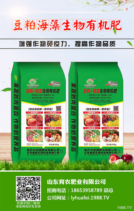 �۲����߲�����ЩΣ���Y�����۲����߲��İY����δ�ʩ