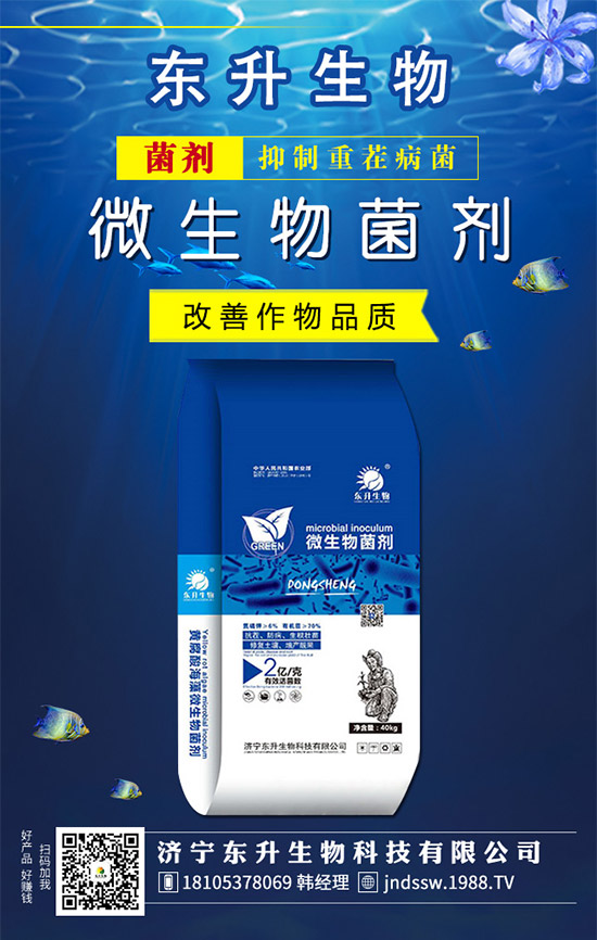 石榴樹什么時(shí)候嫁接好?石榴樹嫁接方法有哪些呢?