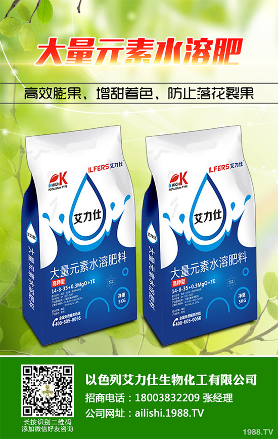 �۲˸���������ΰl(f��)���ģ�ԓ���ӷ����������������