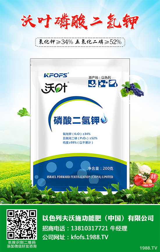 �۲˲���������ЩΣ����ԓ��η������۲˲�������Σ���c����