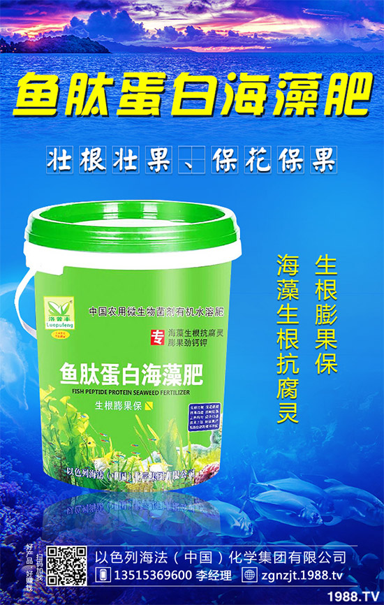 �۲˲���������ЩΣ����ԓ��η������۲˲�������Σ���c����