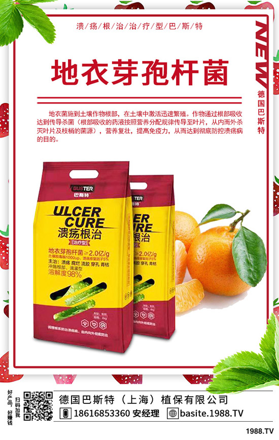 �ֲ��؅^(q��)���������»���2020-1-17����(n��i)���؃r(ji��)���߄ݼ��������u��