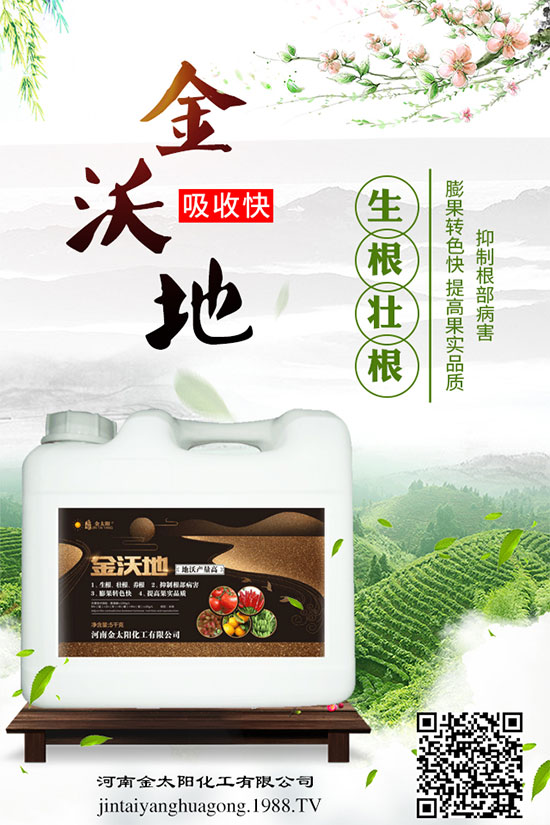 苦瓜白粉病癥狀及危害,苦瓜白粉病的防治妙招!