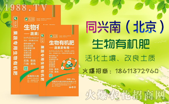     2020⛷ʃr���߄���������������߄��A(y��)�y��