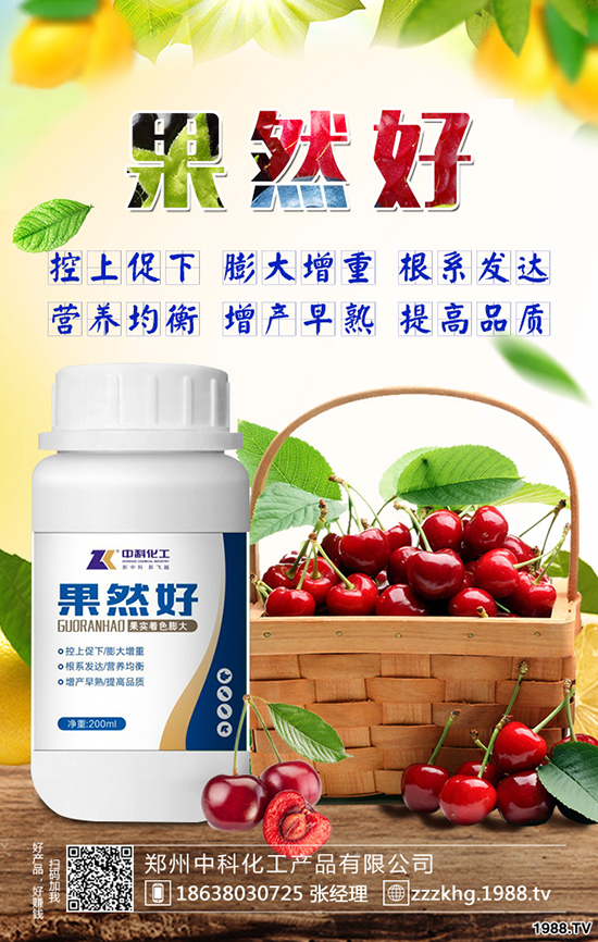 �O����Ę������Щ�Y�����O����Ę��ԭ�򼰷�����