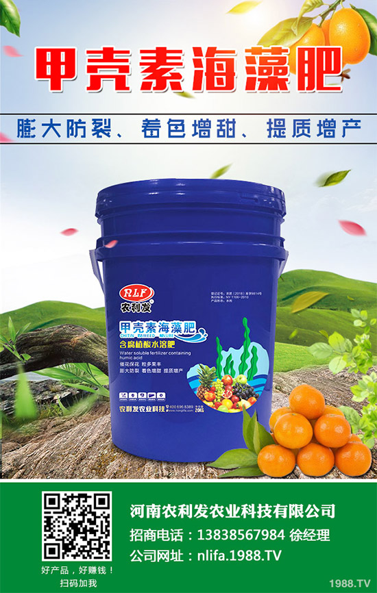 �t���c�uѪ������Щ�^(q��)�e�����߹�Ч�÷��cʹ�ý���