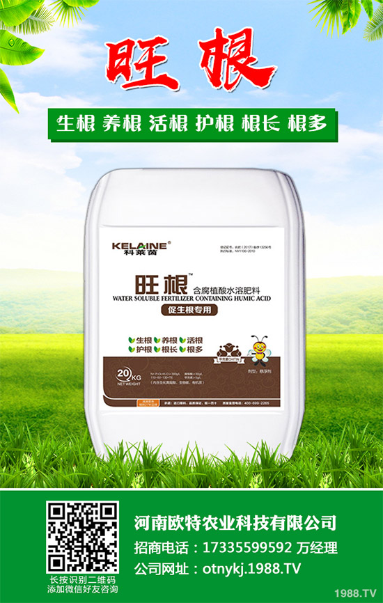 �t������Щ���湦Ч���t�ٵĹ�Ч���ü�������Ⱥ