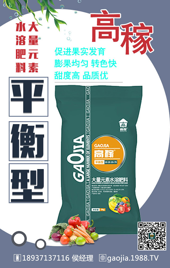 ���~����ա���߮a(ch��n)��ʩ�ʼ���Ҫץ����