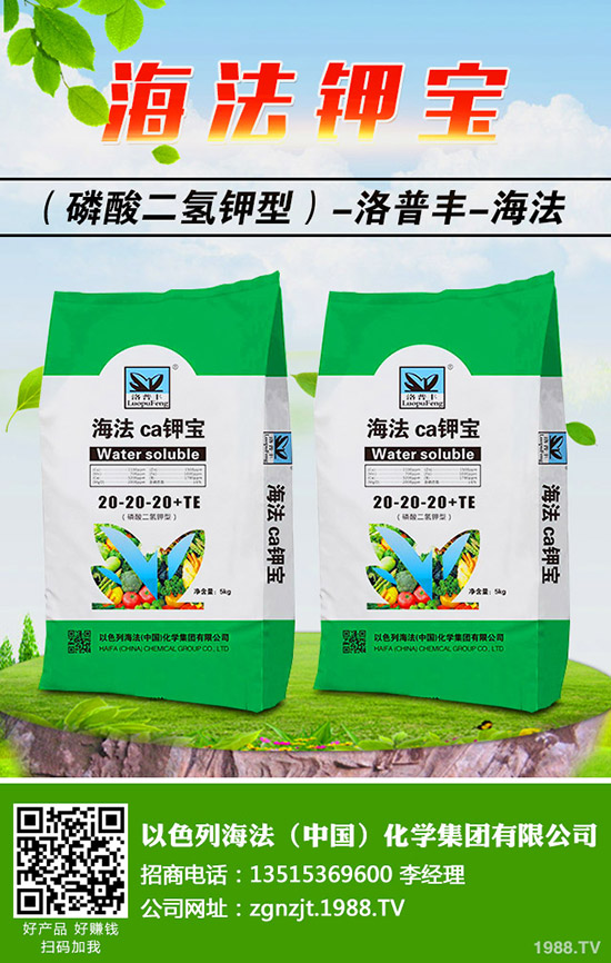 �������ö�������޼�����䶬���޼��ĕr�g��������