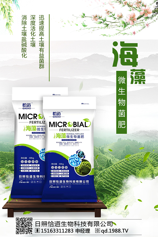 松茸有哪些營養(yǎng)價值?吃松茸有什么好處?