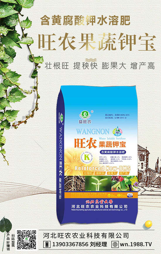 郁金香生長習性有哪些？郁金香養(yǎng)護要點！