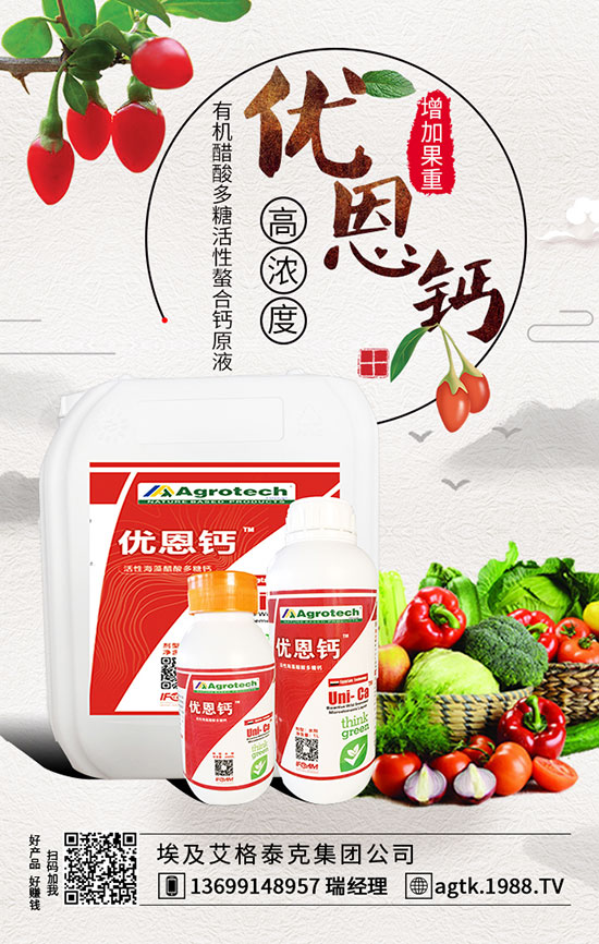 �۲˷Nֲע�����(xi��ng) �۲˷Nֲ