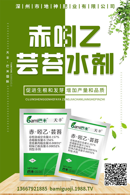 紅薯的營養(yǎng)價(jià)值有哪些，紅薯的功效作用與使用禁忌！