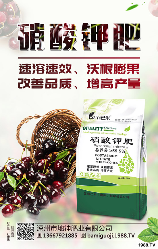 �t������r(sh��)�g��ʲô�r(sh��)�����t�����緽������Щ��