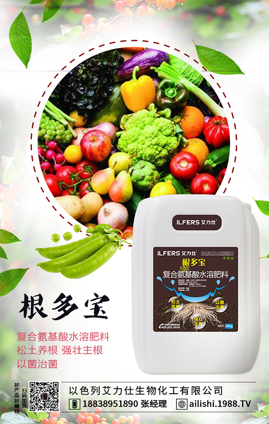 扁豆什么時間種植?扁豆高產(chǎn)栽培技術(shù)!