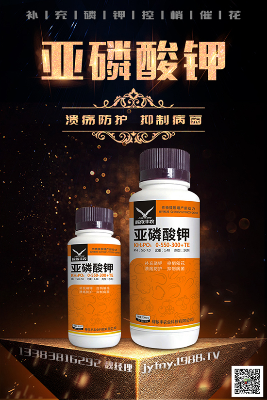 2020種黑番茄賺錢嗎？黑番茄的種植方法有哪些？