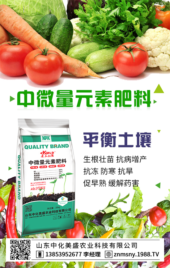 ������ݮ��ô����������ݮ������ʩ��