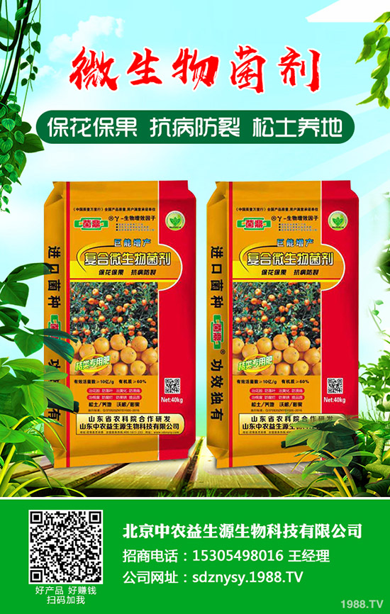     ����С���[��ηNֲ������С���[�Nֲ�r(sh��)�g���Nֲ������