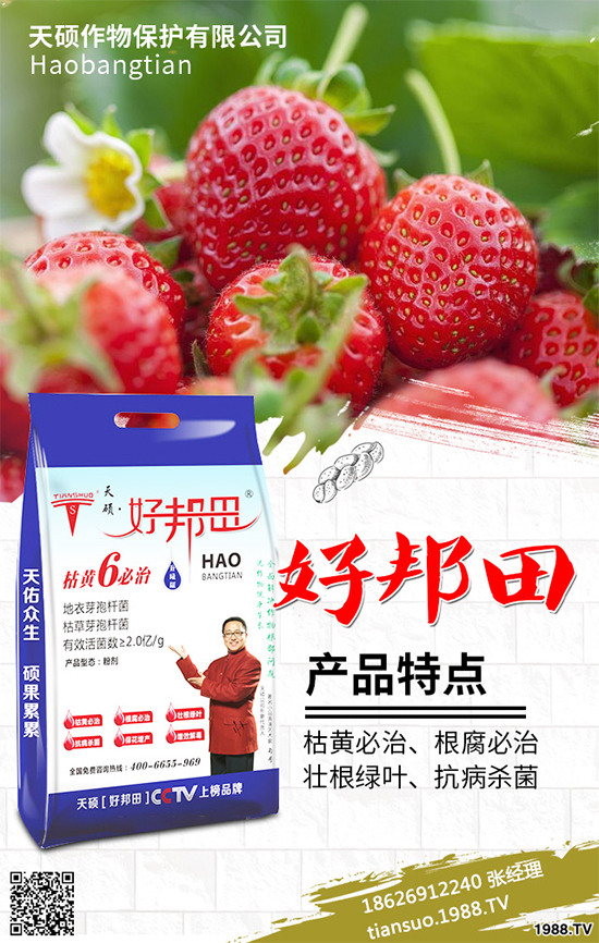 �����Ϲ�ԓ��ηNֲ�������Ϲϴ���Nֲ���g(sh��)