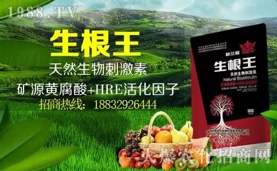 С���q�r�����e��r���^2500Ԫ/����