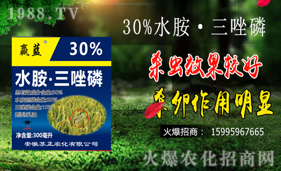 水稻鉆心蟲(chóng)防治難點(diǎn)有哪些?水稻鉆心蟲(chóng)危害及防治要點(diǎn)!