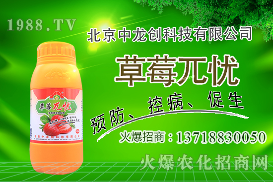 果樹下適合種植什么中藥材?果園里能套種哪些中藥材?