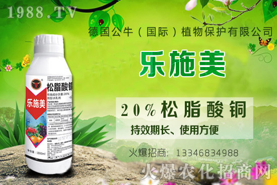 ������ʩ�ʕr(sh��)�g��ʲô�r(sh��)����������ԓ���ʩ����