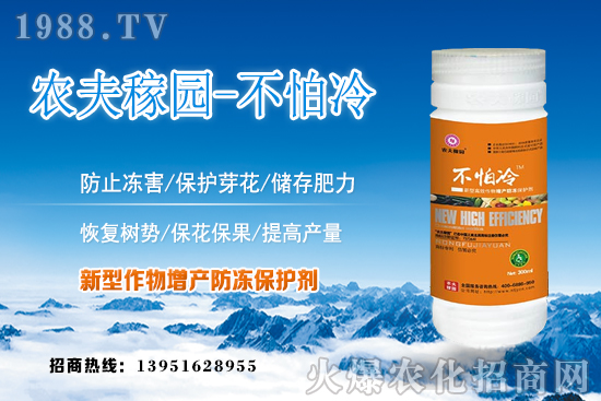 刺梨的種植條件有哪些？刺梨繁殖方法及田間管理！