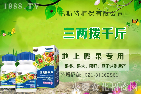 Ӱ�ţϥ��ϵ�����L(zh��ng)��������Щ��ţϥ����������ʲô�~�����