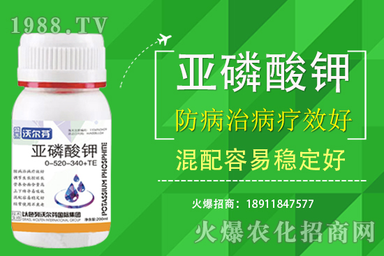 �������Ҫ��������ʲô������֮�g��ʲô�P(gu��n)ע��