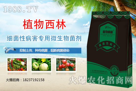 ����̿�Ҳ��Y����ʲô������̿�Ҳ��l(f��)��ԭ�򼰷���