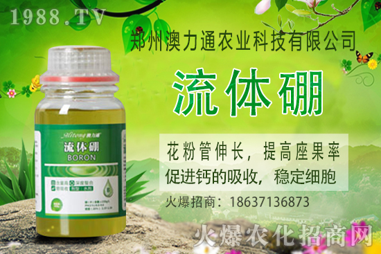 ⛷ʃr����m(x��)���q��2020-10-30����(n��i)⛷ʃr���(b��o)�rһ�[