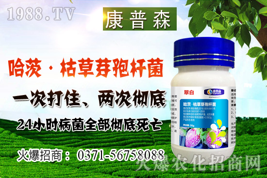 小麥價格止跌回穩(wěn),小麥價格能漲多少?