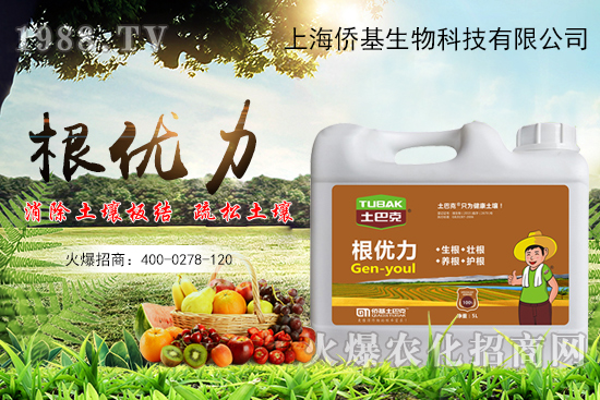 ����������ʲô�����������x������Щ��