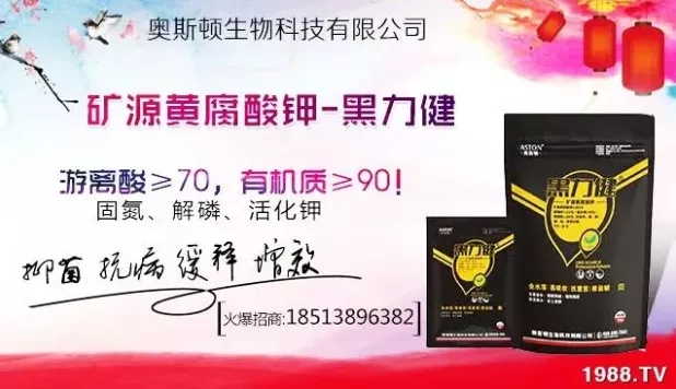 ����ʲô�r(sh��)�g���N��ע�����(xi��ng)����Щ�����ش���Nֲ�r(sh��)�g����