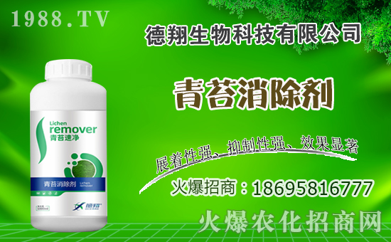 �Ͳ�ʲô�r�g�Nֲ���Ͳ˷Nֲ������ʲô������Щע�������