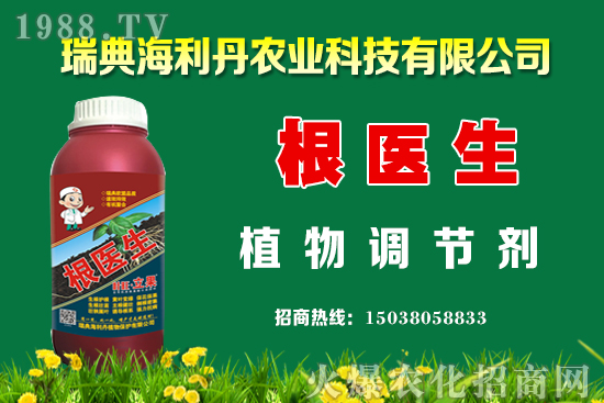 �Ͳ���ô��������߮a(ch��n)�����Ͳ˿���������ʩ����Щ��