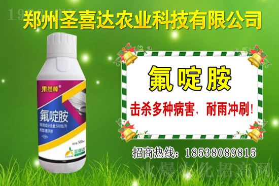 �������N��������Щ���������Ժ�ʲô�����׷N��