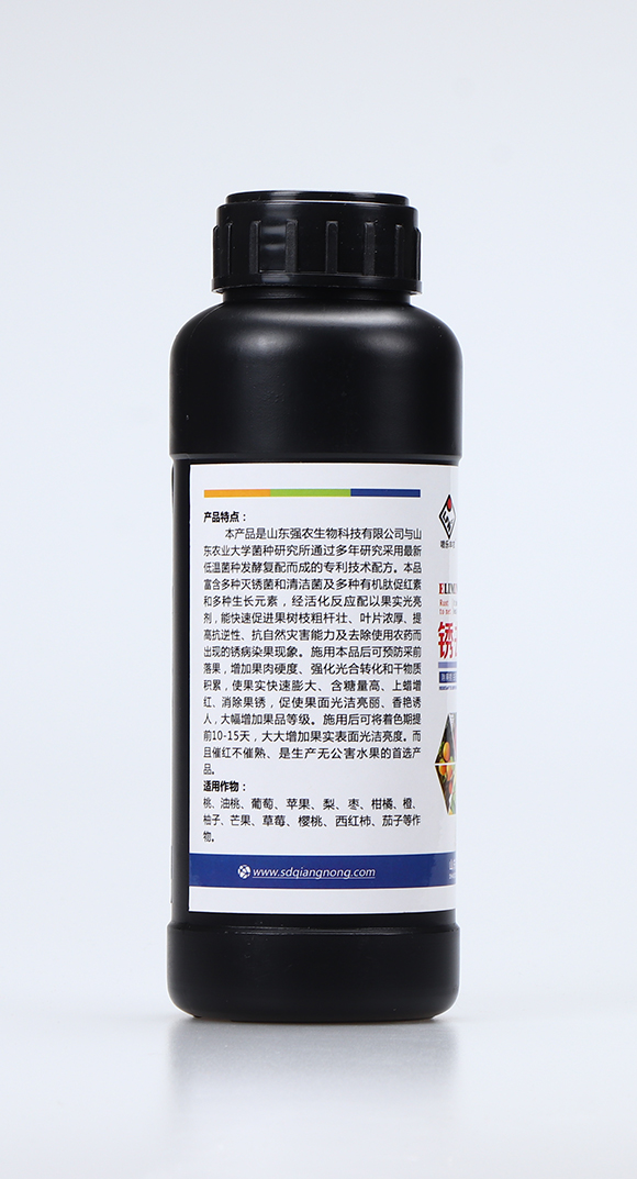 ����һ����2